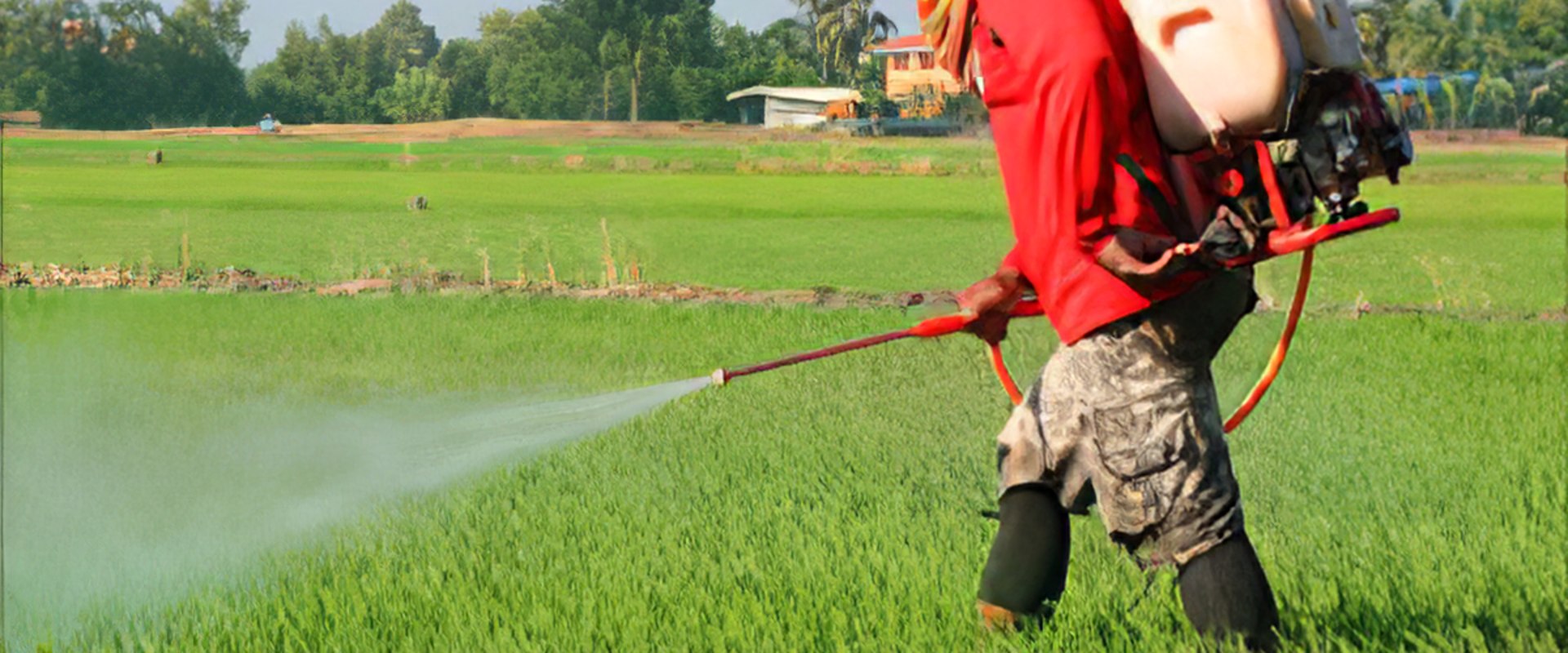 What kind of poisoning can be caused by pesticides?