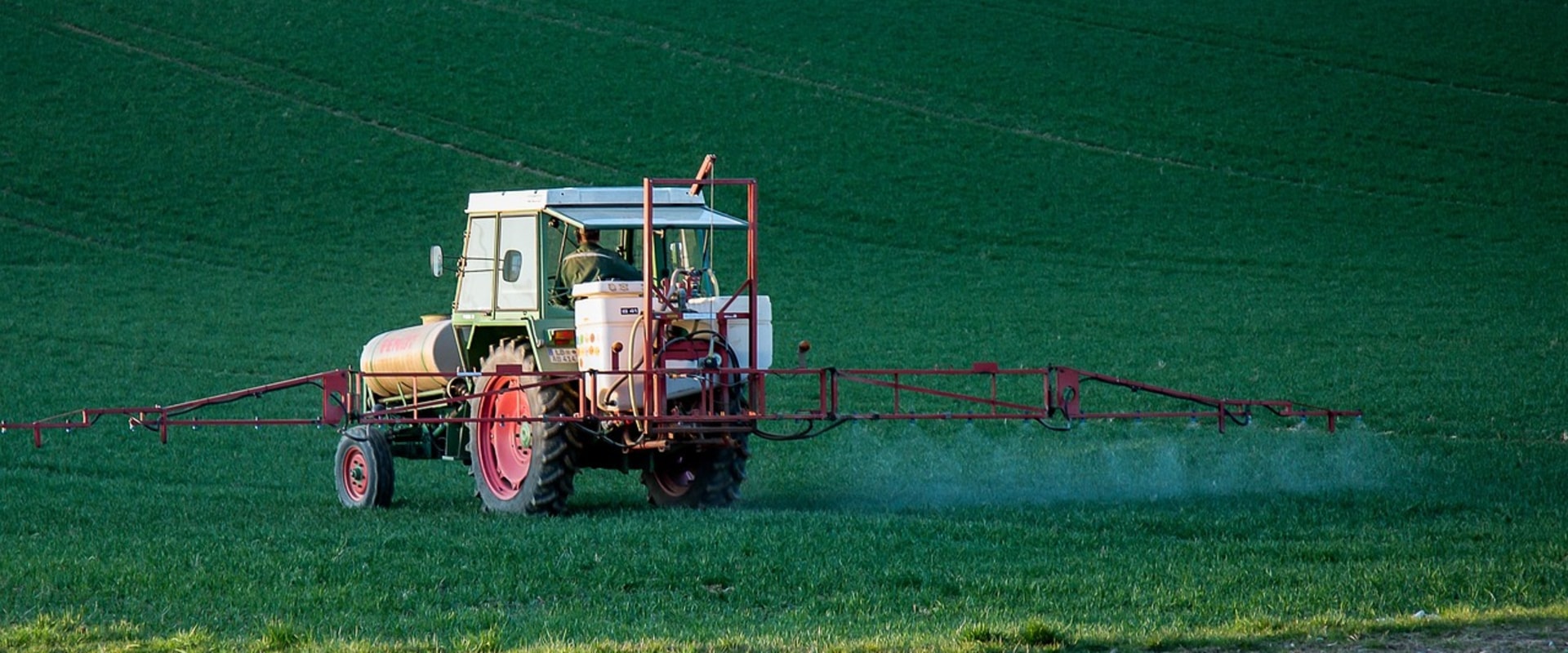 Outdoor Pest Control for a Healthier Home Environment