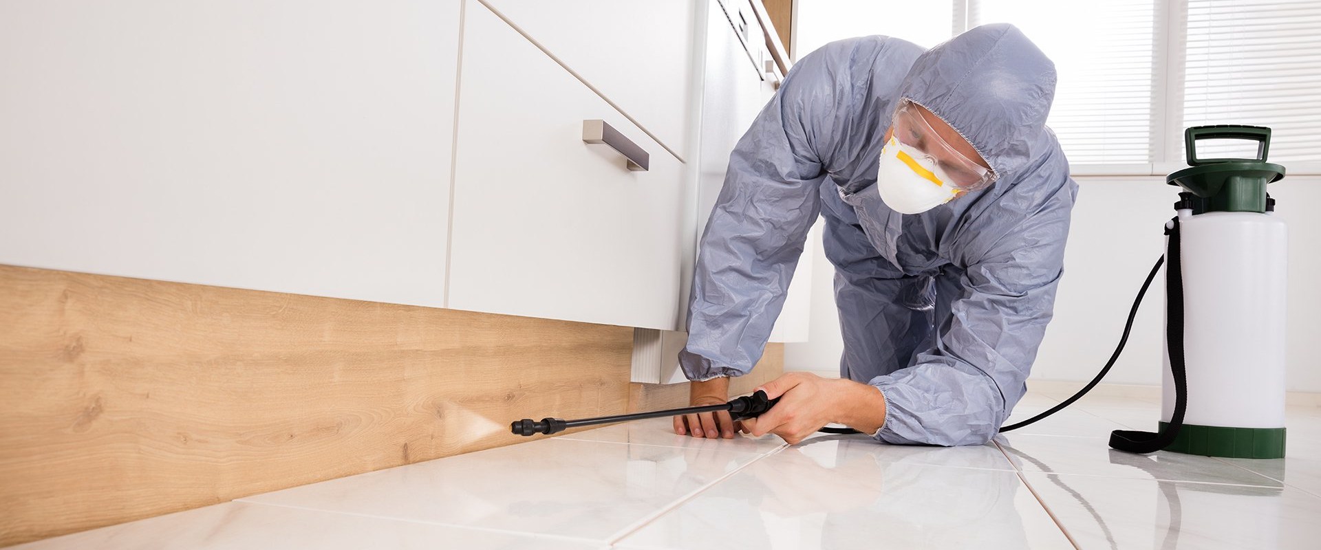 What bug spray do pest control companies use?