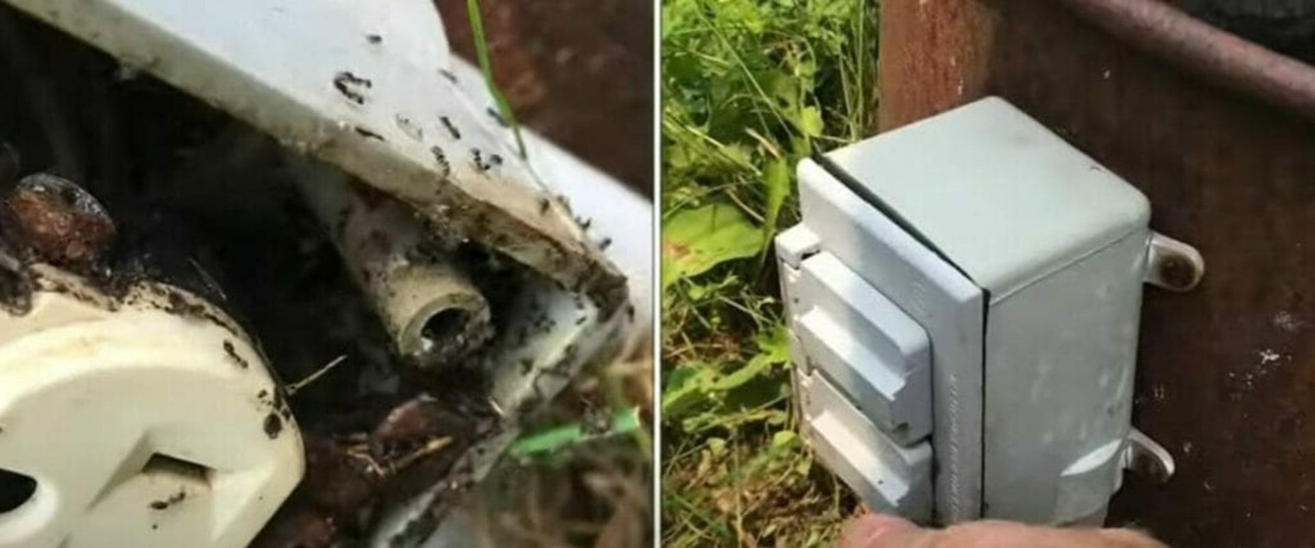 Outdoor Pest Control and the Subtle Role of Electrical System Safety