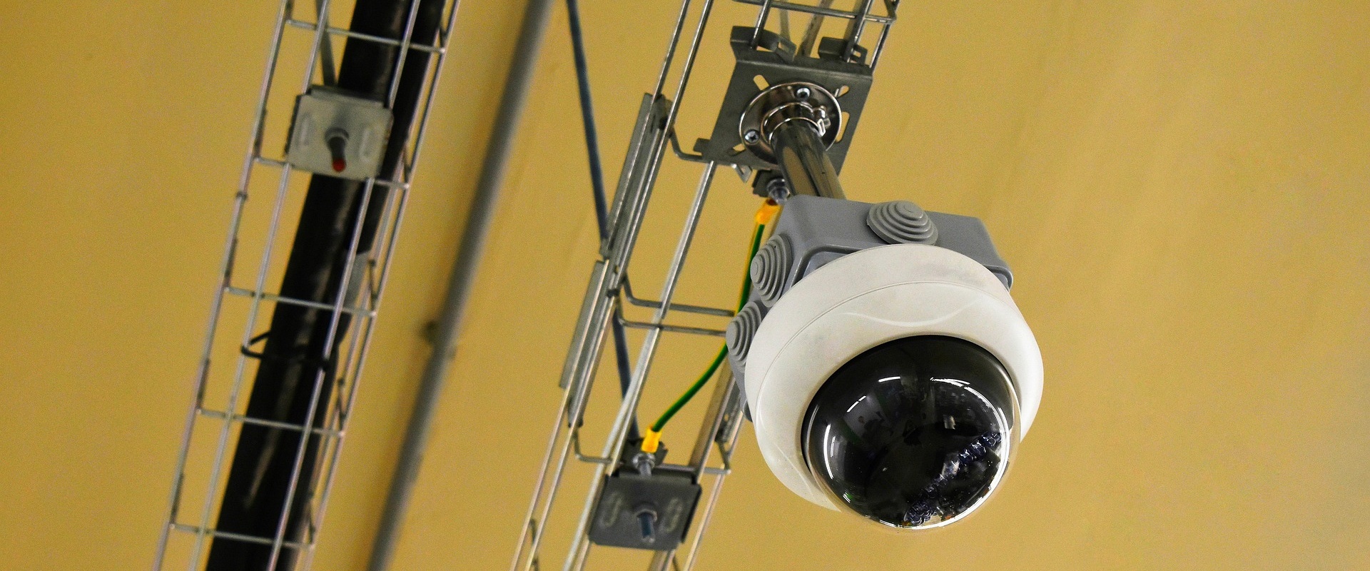How Outdoor Pest Control Concerns Can Reveal the Need for CCTV Inspection in Vancouver, WA