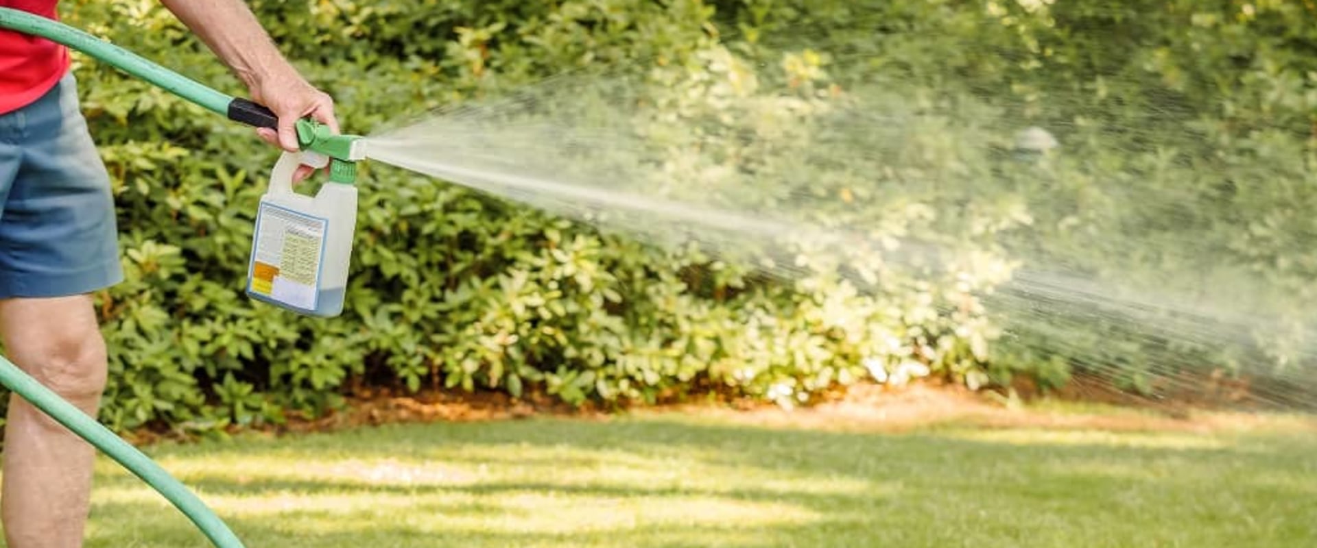 What is the best outdoor pest control?