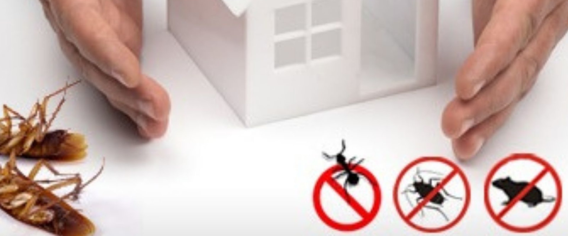 When to do pest control for home?