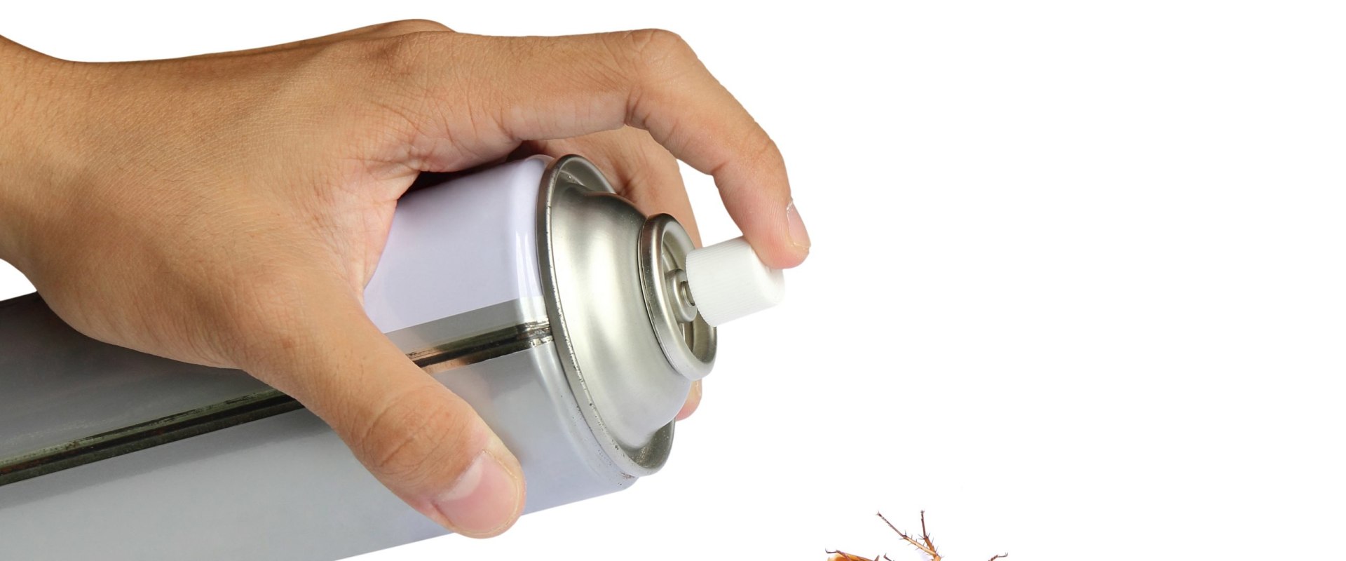 What is the purpose of pest control?
