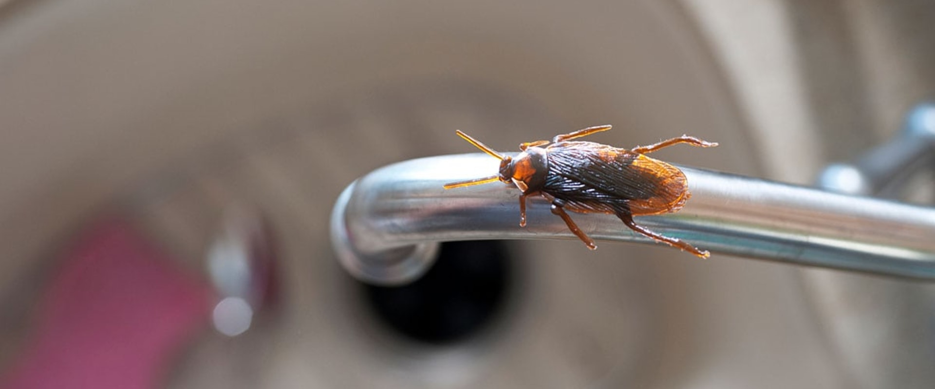 Are pest control chemicals harmful to humans?