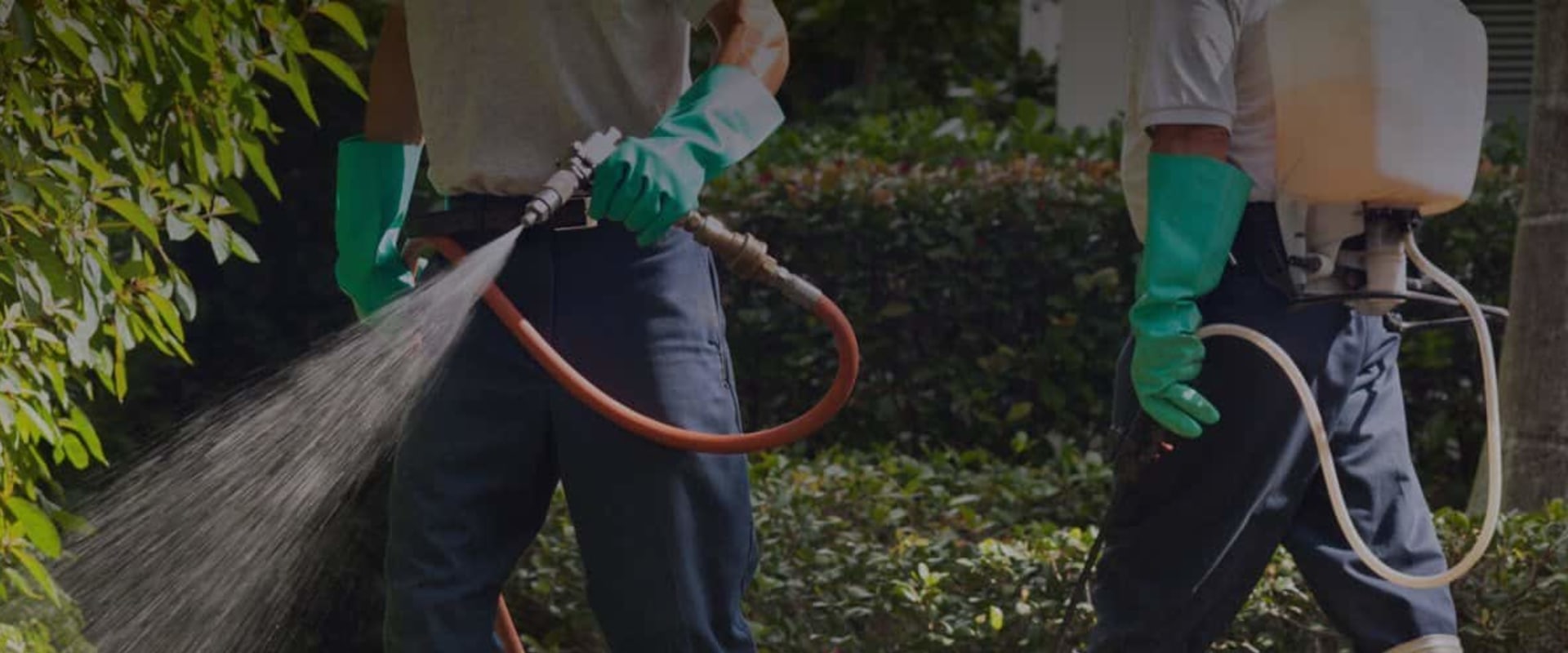 Outdoor Pest Control For Greenbelt, MD: Insect Control Strategies To Keep Your Property Safe