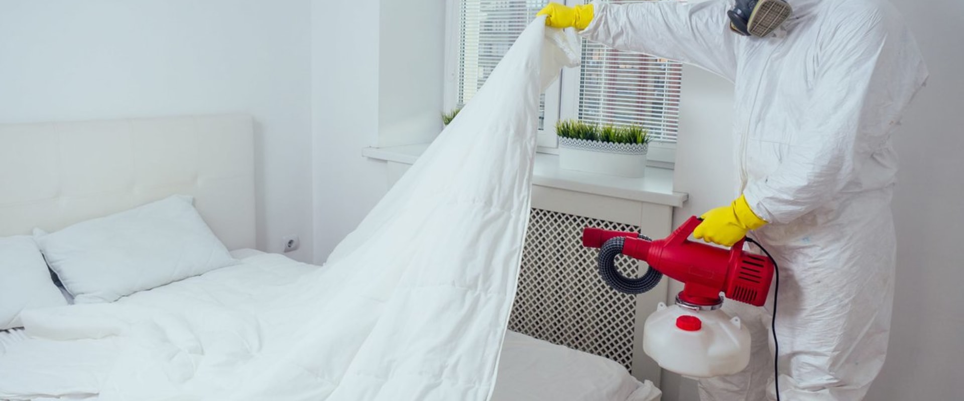 Beyond The Bedroom: Why Outdoor Pest Control Needs The Help Of Professional Bed Bug Control Services In New York