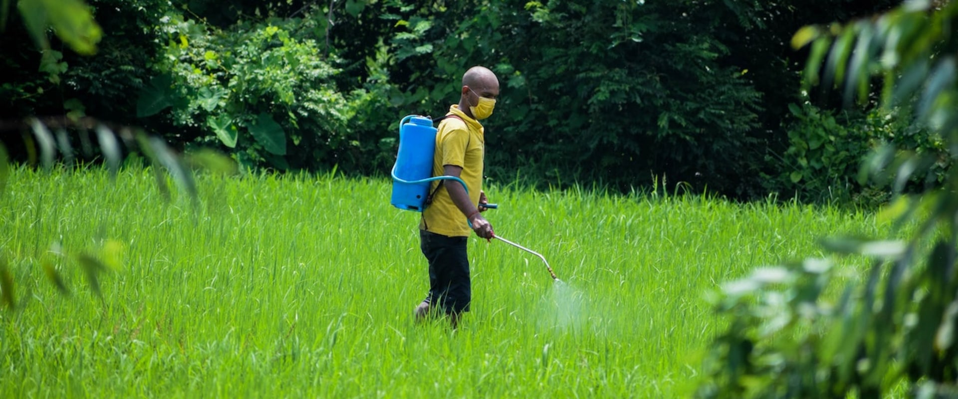 The Benefits Of Hiring A Pest Control Service Company In Forney, TX To Manage Your Outdoor Spaces