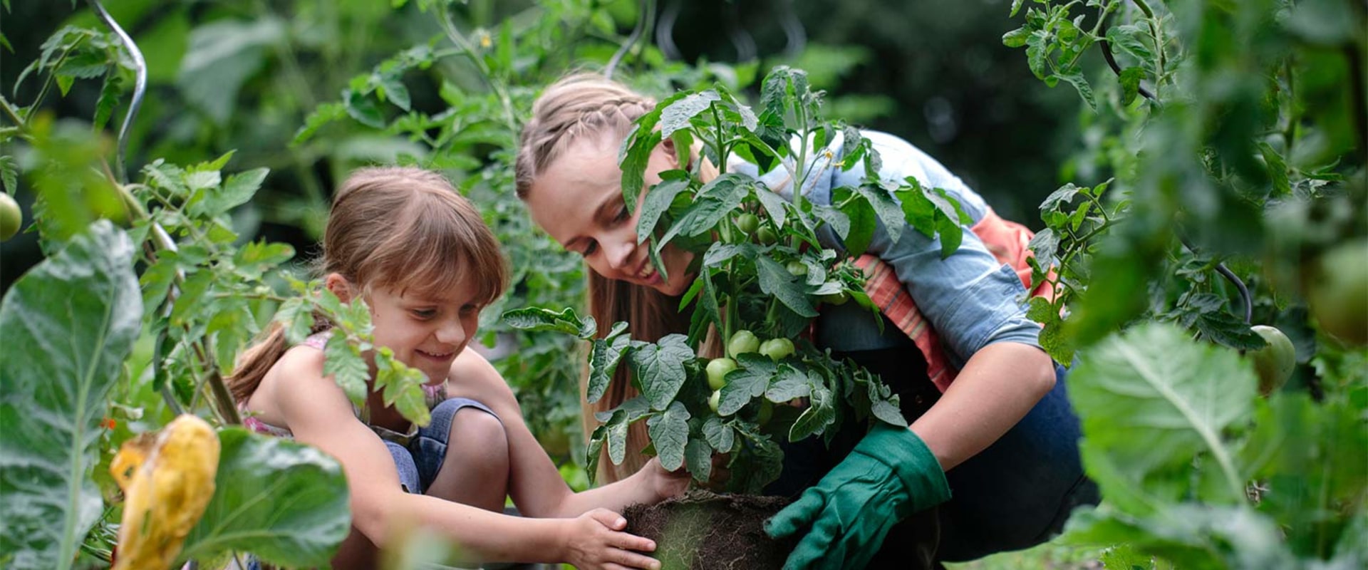 Guard Your Garden: Top Outdoor Pest Control Solutions for Every Season