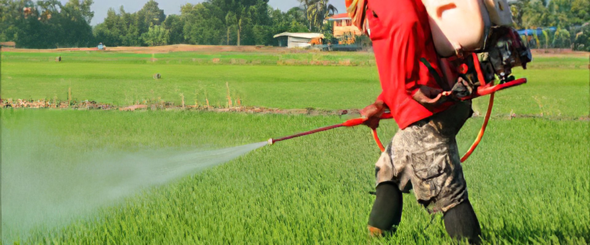 Is pest control toxic to humans?