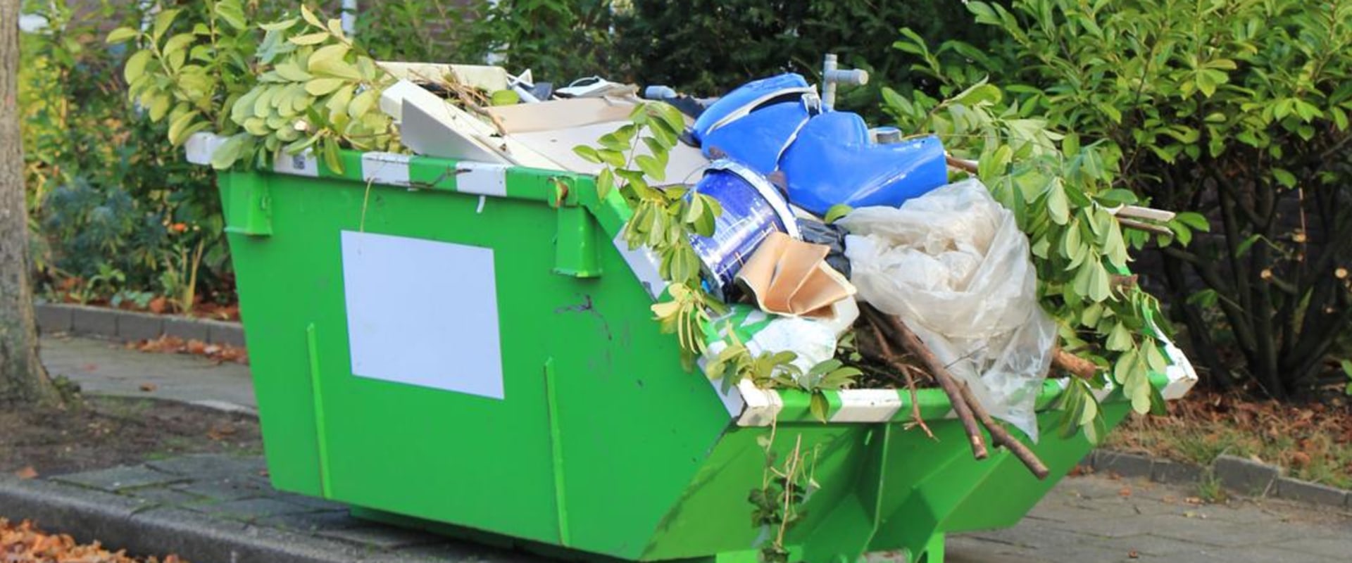 How Dumpster Rentals Can Help With Outdoor Pest Control In Desoto, TX