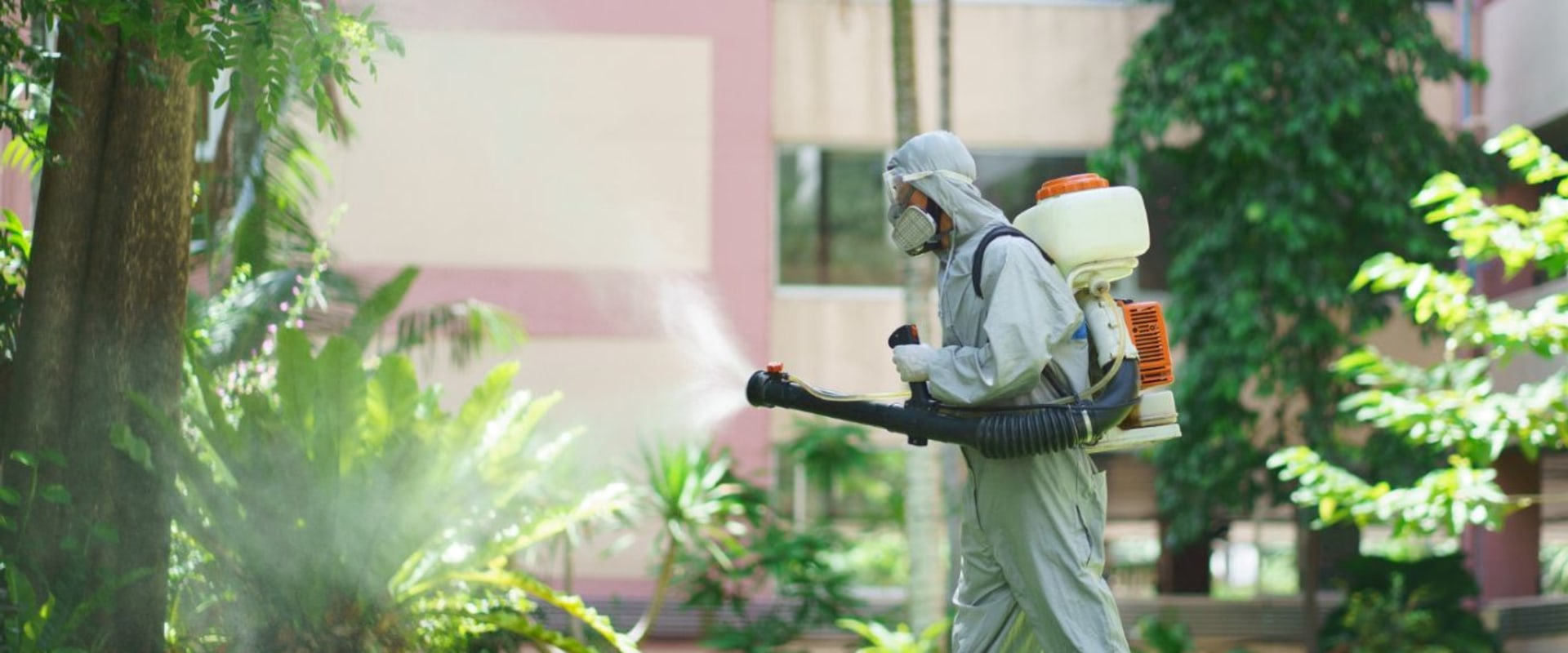 Outdoor Pest Control Tips for Managing Seasonal Infestations