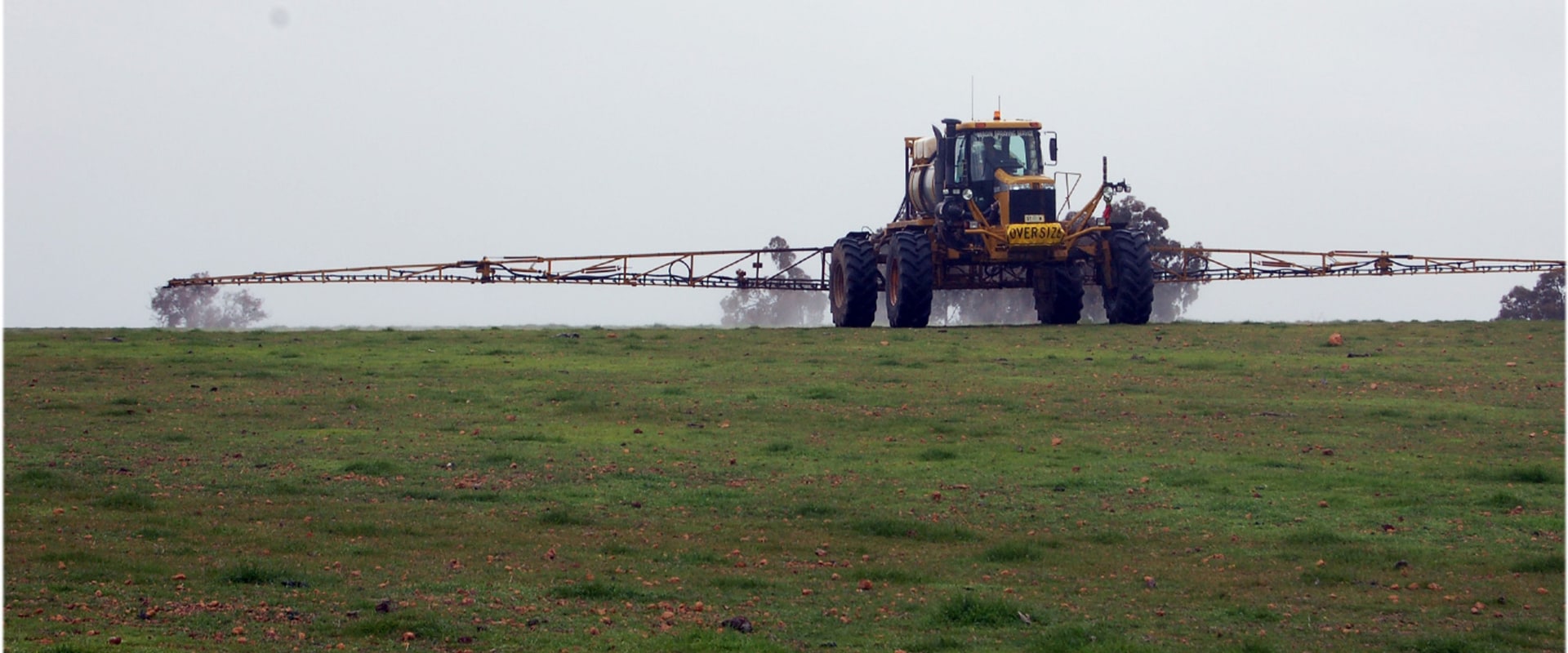 Can you spray pesticides in the winter?