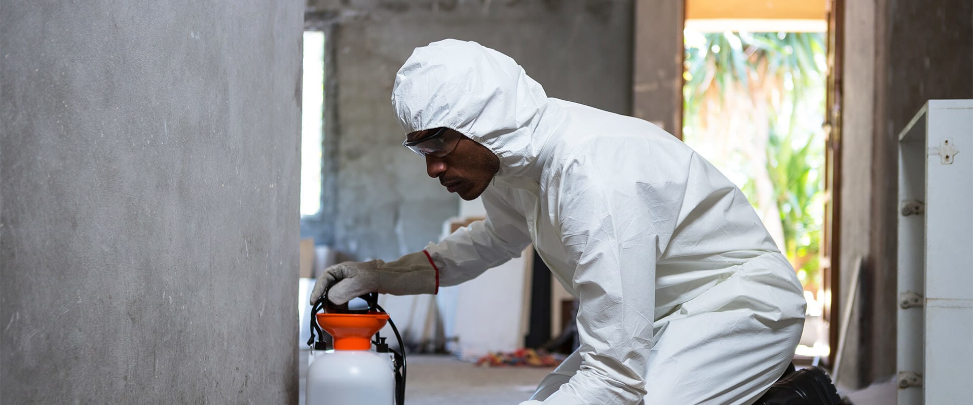 When to pest control?
