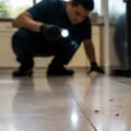 Signs Your Property May Need More Consistent Pest Service