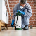 The Ultimate Guide To Outdoor Pest Control In Orlando: Tips From Local Exterminators