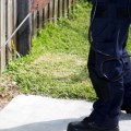 How often should you have pest control come?
