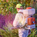 What does the structural pest control board do?