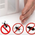 When to do pest control for home?