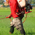 What are signs of pesticide poisoning?