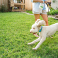 How long does wondercide outdoor pest control last?