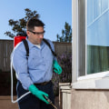 Outdoor Pest Control In Albuquerque, NM: Why Experts Make All The Difference