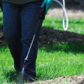 Is outdoor pest control safe?