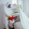 Beyond The Bedroom: Why Outdoor Pest Control Needs The Help Of Professional Bed Bug Control Services In New York