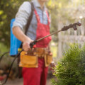Beyond DIY: The Imperative Of Professional Services In Irvine's Outdoor Pest Control