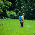 The Benefits Of Hiring A Pest Control Service Company In Forney, TX To Manage Your Outdoor Spaces