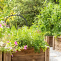 Guard Your Garden: Top Outdoor Pest Control Solutions for Every Season