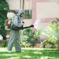 Outdoor Pest Control Tips for Managing Seasonal Infestations