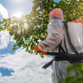 The Role of Professional Pest Control in Outdoor Maintenance