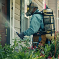 Outdoor Pest Control and the Connection to Reliable Home Service Professionals