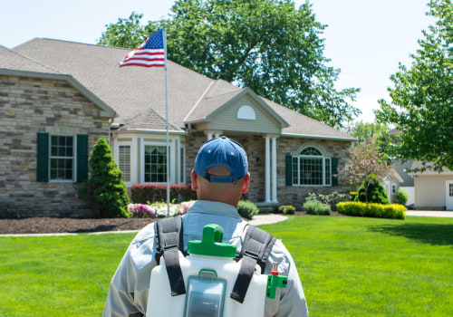 Why Outdoor Pest Control Matters for Protecting Home Foundations