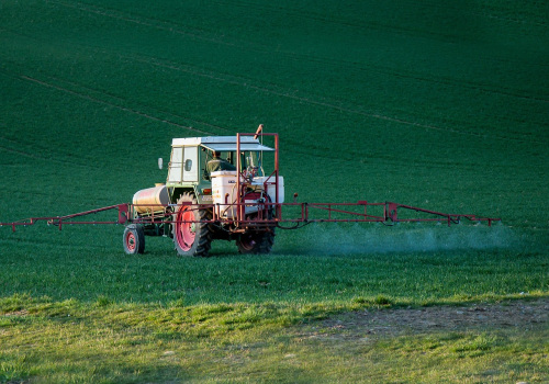 Outdoor Pest Control for a Healthier Home Environment