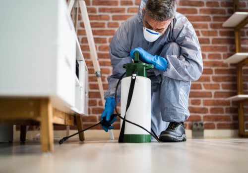The Ultimate Guide To Outdoor Pest Control In Orlando: Tips From Local Exterminators