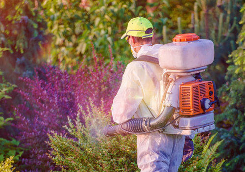 What does the structural pest control board do?