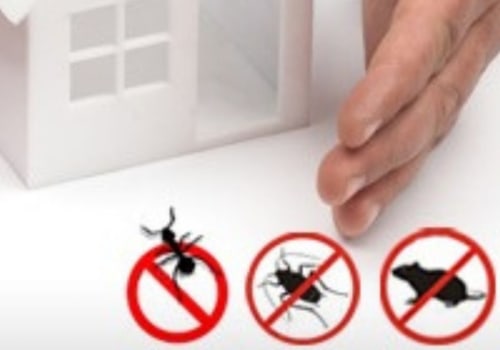 When to do pest control for home?