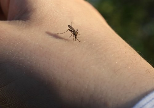 What time of year are pests most active?