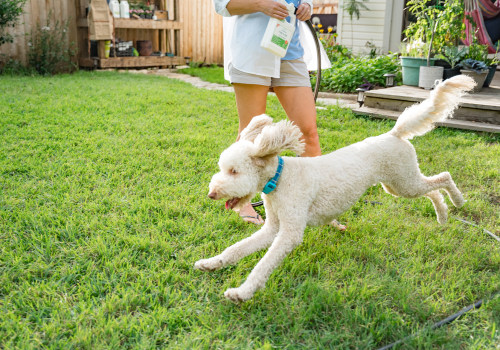 How long does wondercide outdoor pest control last?
