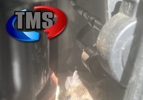 How Rodents and Insects Damage HVAC Wiring and What Pest Control Can Prevent
