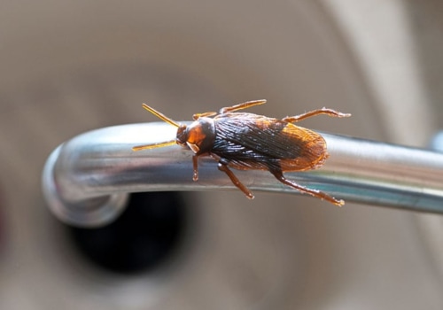 Are pest control chemicals harmful to humans?