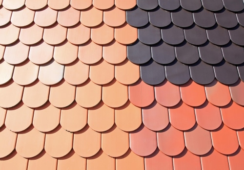 Protect Your Home with Pest Control and Roofing Services