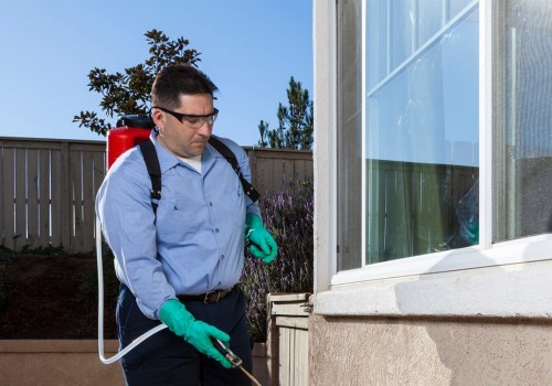 Outdoor Pest Control In Albuquerque, NM: Why Experts Make All The Difference
