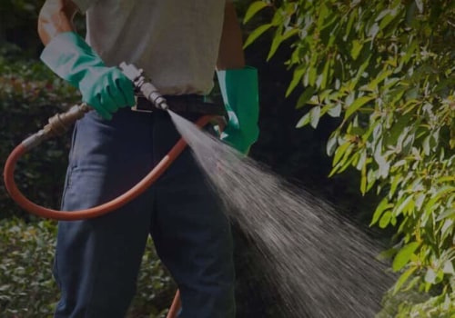 Outdoor Pest Control For Greenbelt, MD: Insect Control Strategies To Keep Your Property Safe