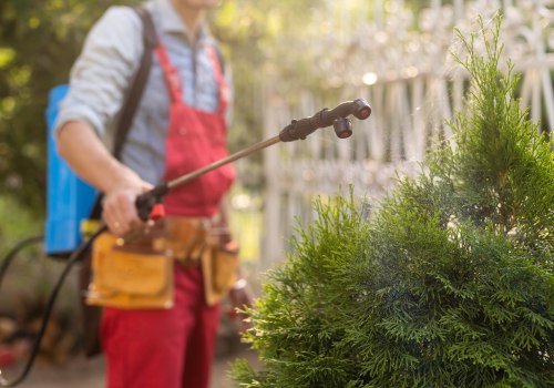 Beyond DIY: The Imperative Of Professional Services In Irvine's Outdoor Pest Control