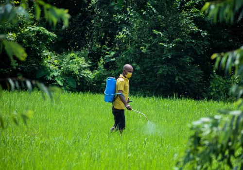 The Benefits Of Hiring A Pest Control Service Company In Forney, TX To Manage Your Outdoor Spaces