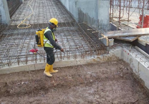 Why Structural Engineers Value Preventive Pest Management Around Building Foundations