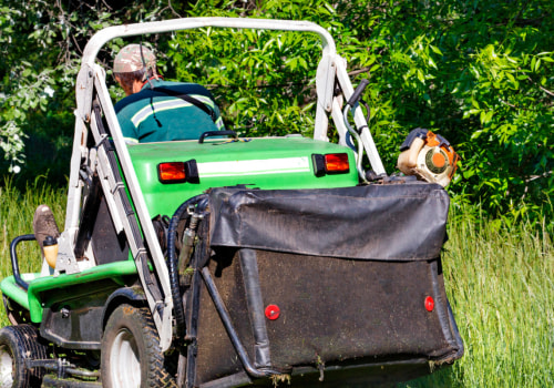 Expert Lawn Mowing and Outdoor Pest Control in Northern Virginia